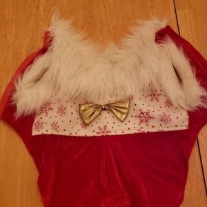 Christmas Dog Outfit (Small)